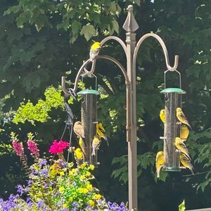 Meet your Posher, Barbara